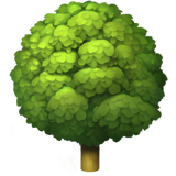 Deciduous Tree - Apple