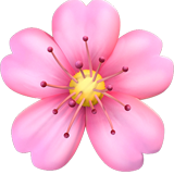 Cherry Blossom - Apple