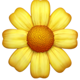 Blossoming Flower - Apple