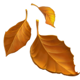 Fallen Leaf - Apple