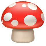 Mushroom - Apple
