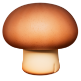 Mushroom on Brown Square - Apple