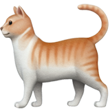 Cat - Apple