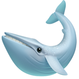Whale - Apple