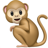 Monkey - Apple