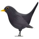 Black Bird - Apple