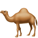 Camel - Apple