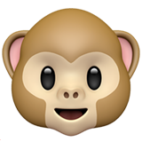 Monkey Face - Apple
