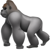 Gorilla - Apple