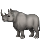 Rhinoceros - Apple