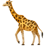 Giraffe - Apple
