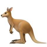 Kangaroo - Apple