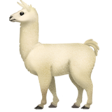 Llama - Apple