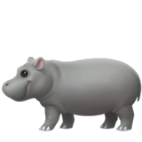 Hippopotamus - Apple
