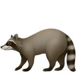 Raccoon - Apple