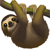 Sloth - Apple