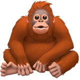 Orangutan - Apple