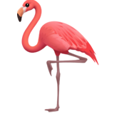 Flamingo - Apple
