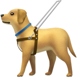 Guide Dog - Apple