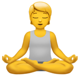 Person in Lotus Position - Apple