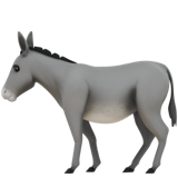 Donkey - Apple