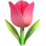 Tulip - Fluent (Microsoft)