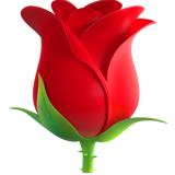 Rose - Fluent (Microsoft)