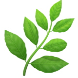 Herb - Fluent (Microsoft)