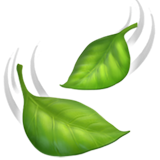 Leaf Fluttering in Wind - Fluent (Microsoft)