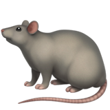 Rat - Fluent (Microsoft)