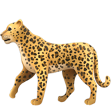 Leopard - Fluent (Microsoft)