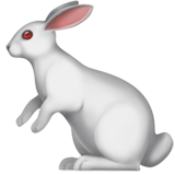 Rabbit - Fluent (Microsoft)