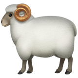 Ram - Fluent (Microsoft)