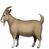 Goat - Fluent (Microsoft)