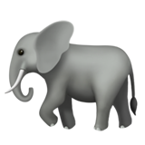 Elephant - Fluent (Microsoft)