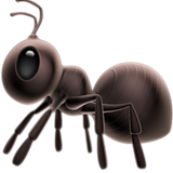 Ant - Fluent (Microsoft)