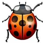 Lady Beetle - Fluent (Microsoft)
