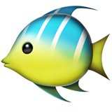Tropical Fish - Fluent (Microsoft)