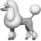 Poodle - Fluent (Microsoft)