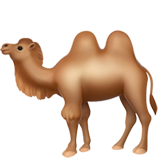 Camel - Fluent (Microsoft)