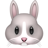 Rabbit Face - Fluent (Microsoft)