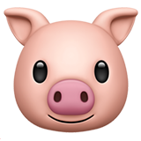 Pig Face - Fluent (Microsoft)