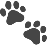 Paw Prints - Fluent (Microsoft)