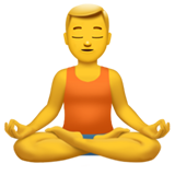Man in Lotus Position - Fluent (Microsoft)