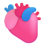 Anatomical Heart - Fluent (Microsoft)