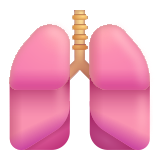 Lungs - Fluent (Microsoft)