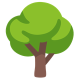 Deciduous Tree - Noto (Google)