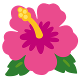 Hibiscus - Noto (Google)