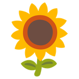 Sunflower - Noto (Google)