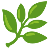 Herb - Noto (Google)